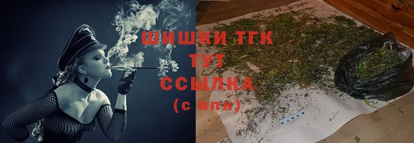 гидропоника Горняк