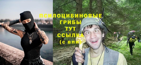 гидропоника Горняк