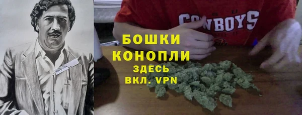 2c-b Горно-Алтайск