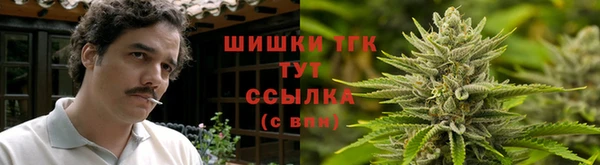гидропоника Горняк