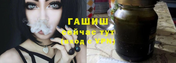 2c-b Горно-Алтайск